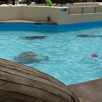 rob77041's profile picture. 
