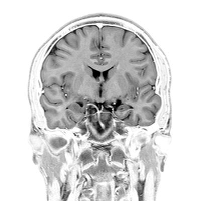 (info, data, graphic) design, (evo, mol) biology, (history of) philosophy (bio, mind, ethics, art), memetics, evo algorithms, cog/neuro sci. https://t.co/QFrtyUA08o