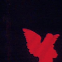 S T ⛥ R (@l3m05_ucf) 's Twitter Profile