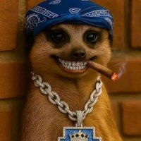 Benjamin Chinagorom (@bchinagoro68861) 's Twitter Profile