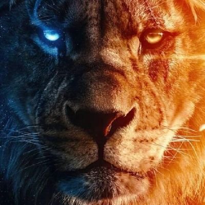 mmd121535's profile picture. سرباز خاندان پهلوی ورضاشاه دوم