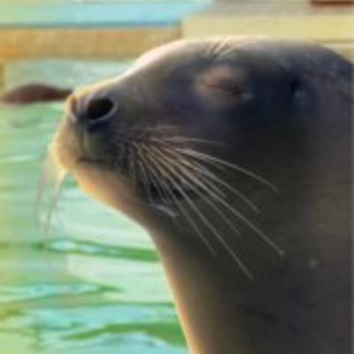 uncle_heffley's profile picture. backup/priv HEAVY VENT acc for @reltorasemide seals 🦭🦭🦭‼️‼️ censored s/h TW, forgive me