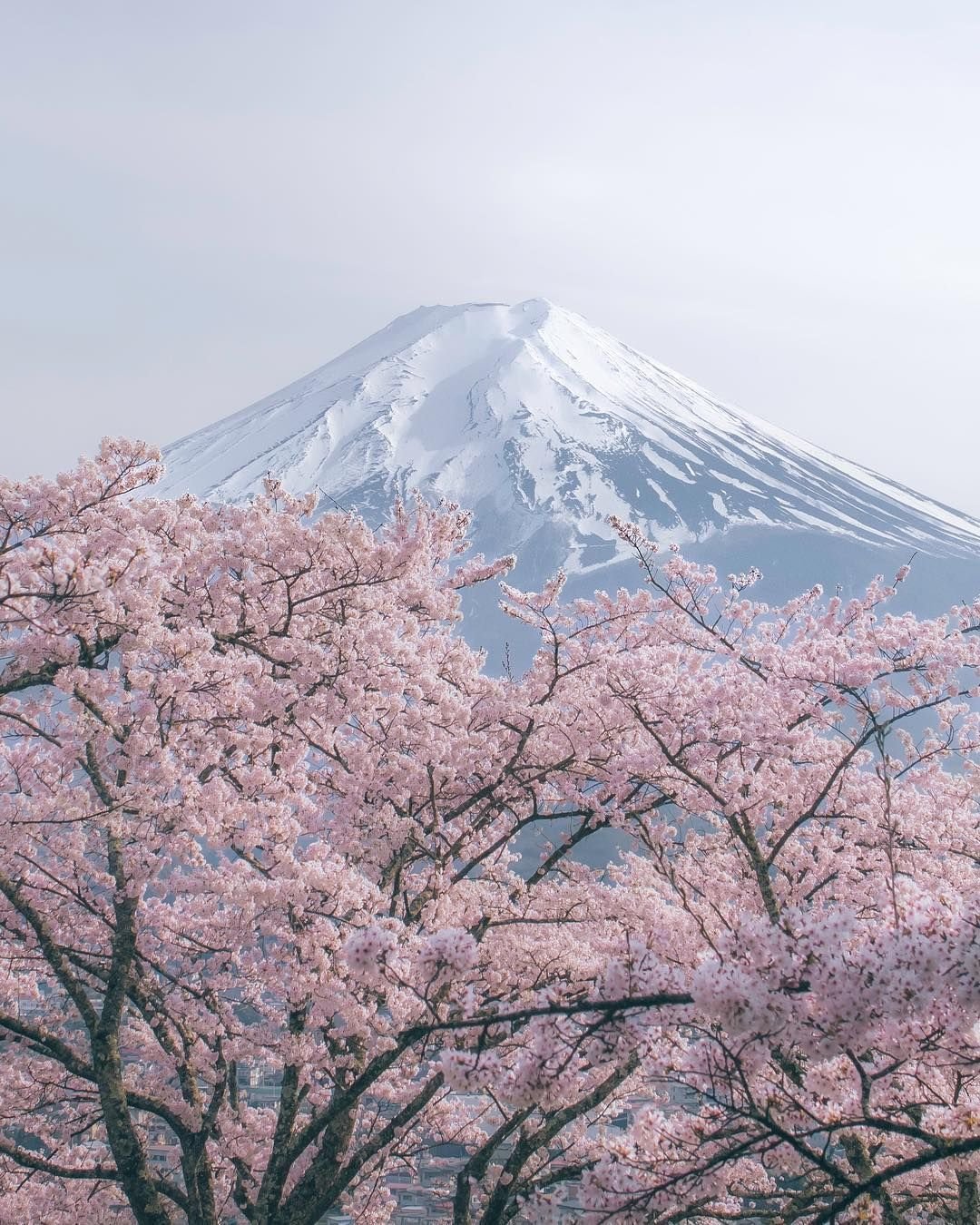 Davigrod's profile picture. 千葉 27♂ RT いいね フォロー するだけ