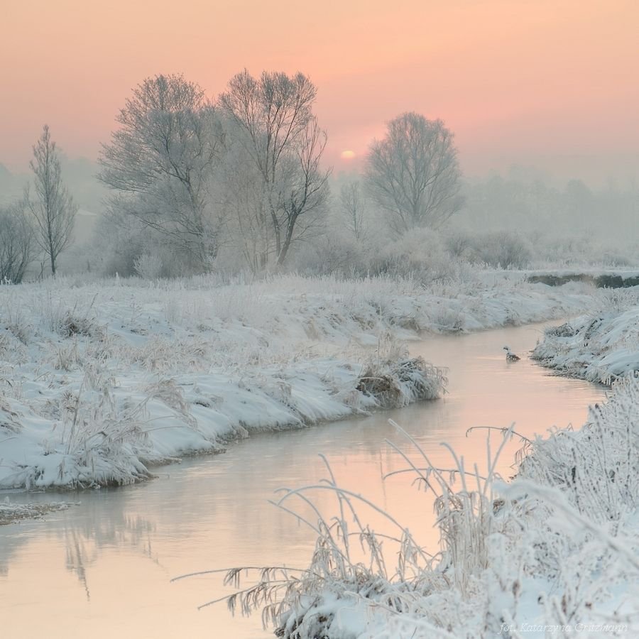 JerryDaodu's profile picture. #魔法で白黒つけ魔ジョ にてStableDiffusionを使用し､魔女の『黒咲椿姫』のAIイラストをメインに投稿中｡ 無断転載🆖