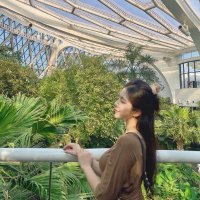 Zhey Su (@angesfanks) 's Twitter Profile
