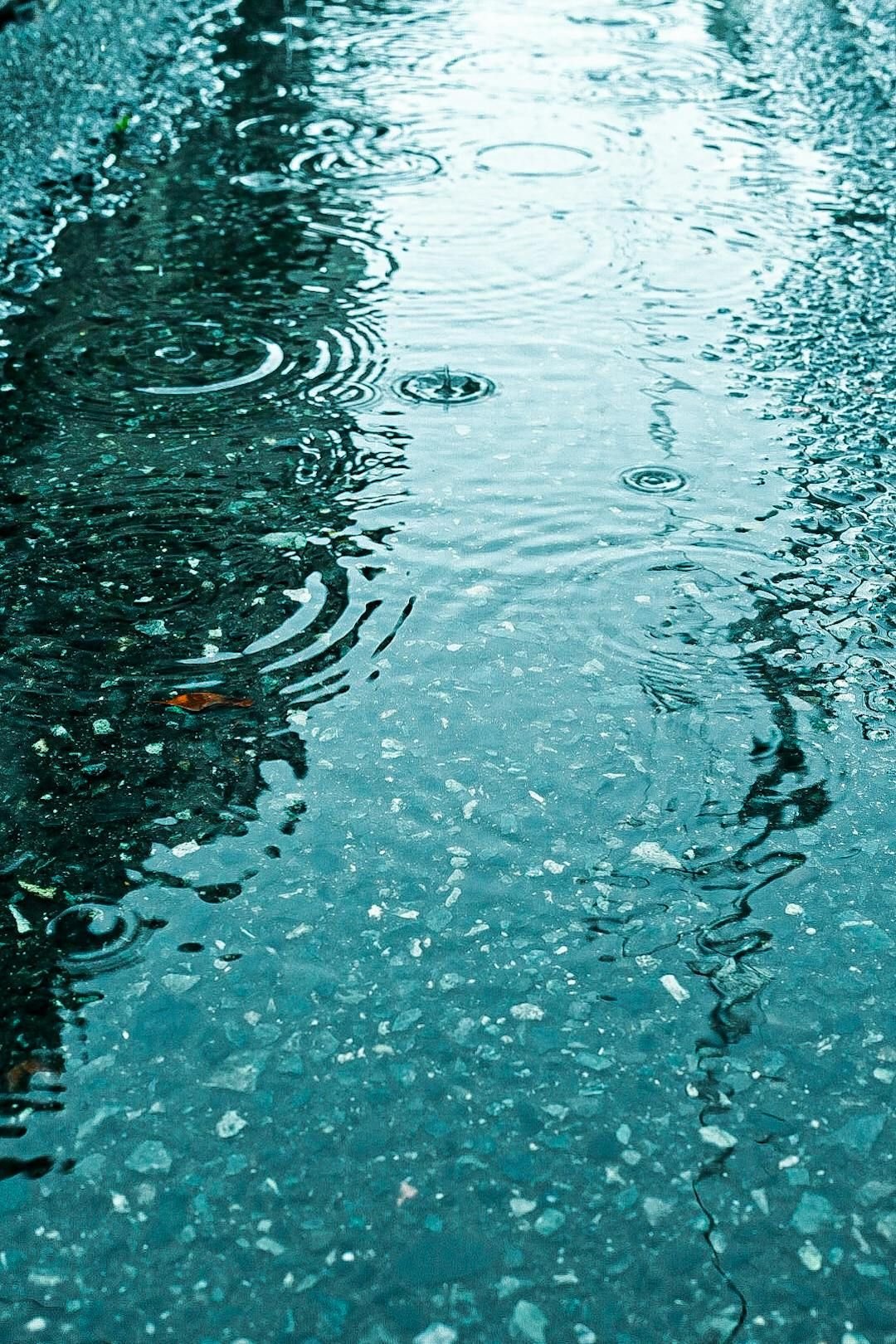 lilmissmusic96's profile picture. AI illustration＋加筆修正┆白髪ツインテールの女の子｢ゆあ｣┆日常の中にある､ふんわりした瞬間up中┆投稿頻度ゆるめです…ᝰ✍🏻┆𝕗𝕠𝕝𝕝𝕠𝕨 𝕋𝕙𝕒𝕟𝕜 𝕪𝕠𝕦🫶🏻┆仲良くしてくれたら嬉しいです🤍︎˚*┆welcome to my page┆#ゆあぱれっと