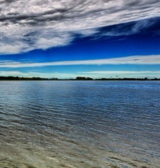 Sumsi_'s profile picture. 