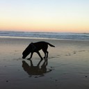 Dave Hurley - @711Hurley - Twitter