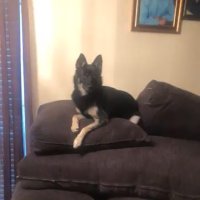 Steven Cordero (@stevenu90284939) 's Twitter Profile