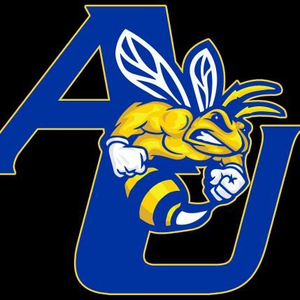 I am a single mom to an amazing 18 year old softball playing wrestling artist. I am also the head coach for softball at Allen University, in Columbia, SC