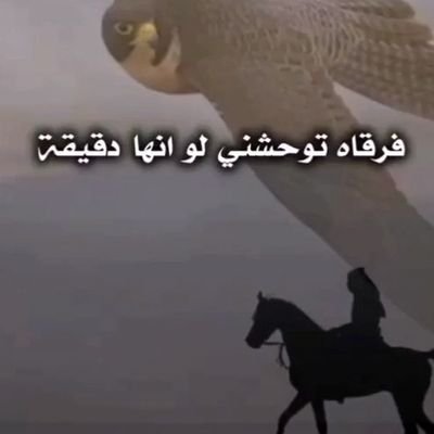 SaedsakerS62768's profile picture. هندسة ميكانيكية وكل مايخص السيارات