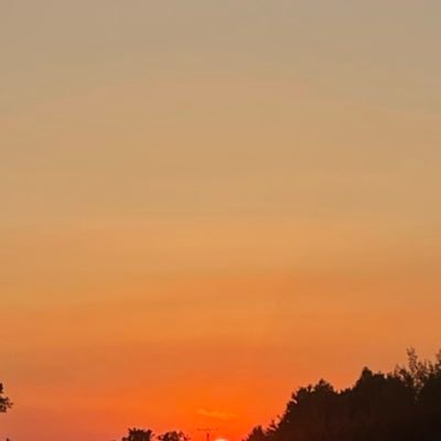 mihr46's profile picture. 