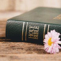 BibleTruth (@gingergal1976) 's Twitter Profile Photo