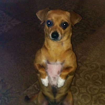 CaseyCorrea4's profile picture. 