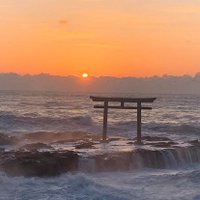 shr_itrh (@itrh_shr) 's Twitter Profile
