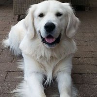 John du Barry (@johnndubarry) 's Twitter Profile