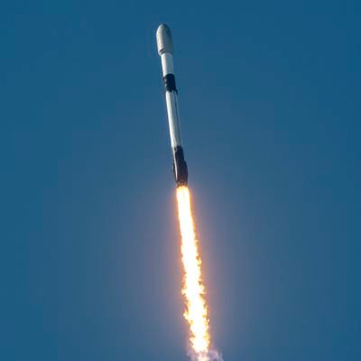 elonrevemuskcha's profile picture. Tesla Toy Investment