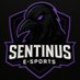 Sentinus (@teamsentinus) Twitter profile photo Sentinus (@teamsentinus) Twitter profile photo