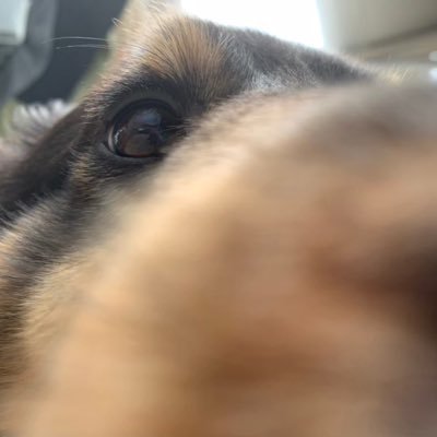 ChuChuさん(一般人)さんのプロフィール画像