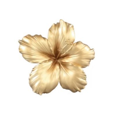 ceocoder5's profile picture. SWE Student @UOfJeddah💻  || Member @EGVR_UJ👾|| Member at Management & Planning Dep @bashoshteam || most probably coding ⌨️