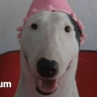 Tomiiさんのプロフィール画像
