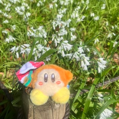 英語勉強中 英会話 時々🐕🐈 フリーランスのお仕事してます 最近はワドルディも好きです⭐️ワド好きさん仲良くしてください