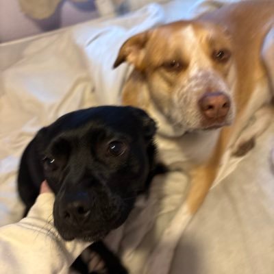 EttingerH81's profile picture. 