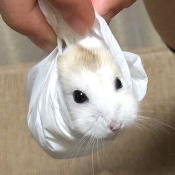티さんのプロフィール画像