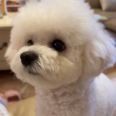 I am a finance major. I like new currency investment, travel, food, cars and pets. I want to practice Japanese and travel to Japan. I like judo.