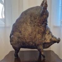the boar (@pinkturtle74) 's Twitter Profile
