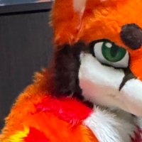 涅槃犬 (@jade_or_amber) 's Twitter Profile