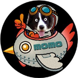 momo_coco's profile picture. (..)🏍💨💨🚗💨💨