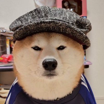 hey I’m Chachamaru (Chacha) I’m the official coin X account for $CHACHA