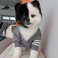 이나 (@rosaleeshi60327) 's Twitter Profile