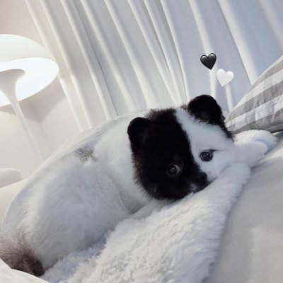 SSammie9243's profile picture. 私は旅行、革新的な料理、新しい通貨への投資、日本料理が好きで、日本語を練習して日本を旅行したいと思っています。