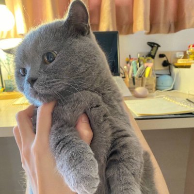 MTresa26293's profile picture. 財務学部卒。食べることと旅行が好きです。これからは英語と日本語でツイートします。日本語の練習と日本旅行をしたいと思っています。