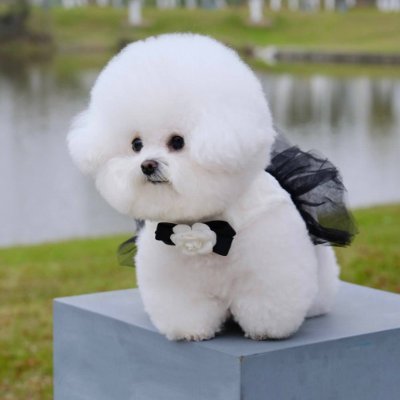 金融を専攻しています。新しい通貨への投資、家での読書、美容とフィットネス、旅行、食べ物、車、水泳が好きです。日本語を練習して日本に旅行したいと思っています。時々英語と日本語でツイートしています。