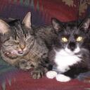 Terrie Beasley - @terriemb - Twitter