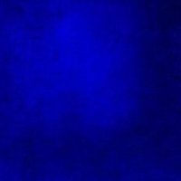 Indigo Wills Project (@indigowillsproj) 's Twitter Profile