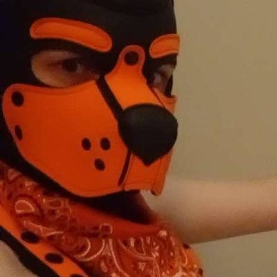 PupKillcode's profile picture. 24yo  pup
 into all sorts don't care what part you have as long as you are huggable.
 minors dne.