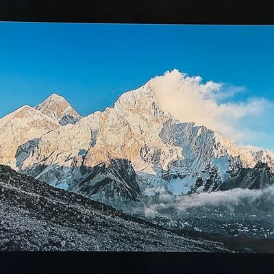 bird262615's profile picture. Angel in training