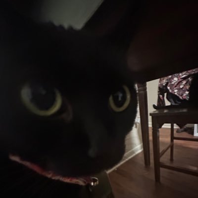 FlutterflyyVT's profile picture. going through a rebrand. stay tuned.  I suck at games but im funny. Twitch: @flutterflyyvt Throne: https://t.co/xnH3mvkEEX Tiktok: @flutterflyyvt