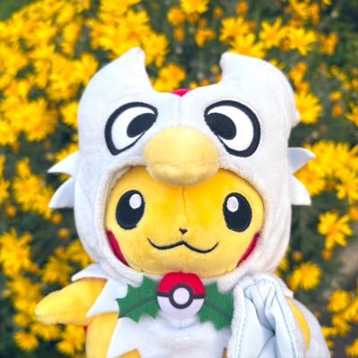 とりんさんのプロフィール画像
