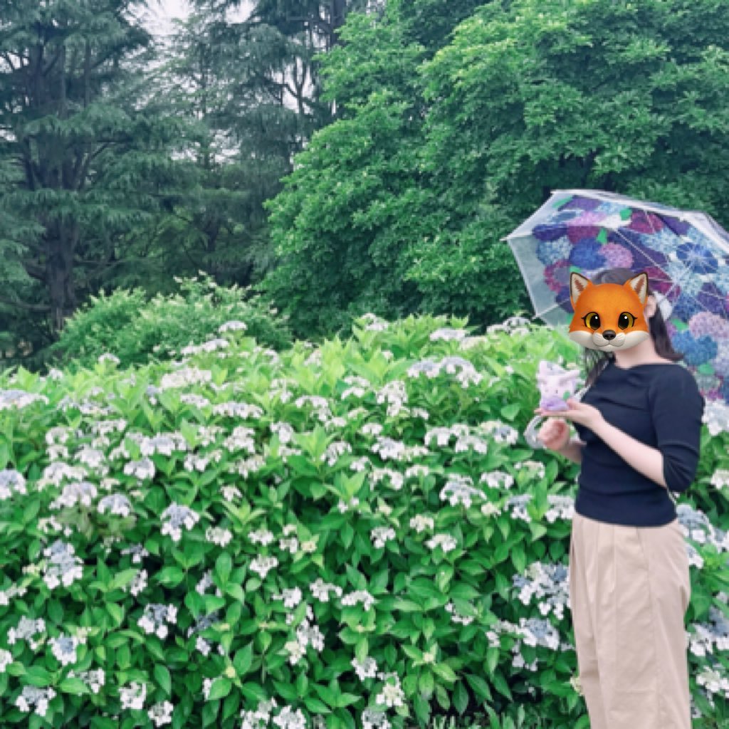 𝘱𝘪𝘯𝘢🦊ྀིさんのプロフィール画像