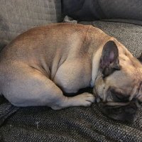 Talia Kate's (@taliakates85092) 's Twitter Profile