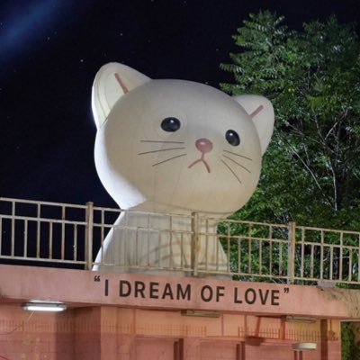 nekko_sachiare's profile picture. 幸せになるんだからっ！