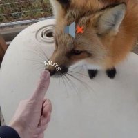 Switchyguy69 (@switchiboyy69) 's Twitter Profile