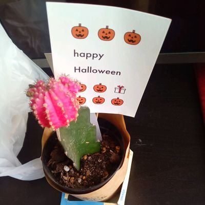 12224mine's profile picture. 明るい世の中が、目指す所に、近づける様に毎日、働いています