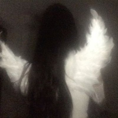 llilythekitty's profile picture. a lost angel 🪽