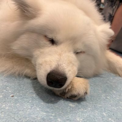 smasui__32's profile picture. データ分析会社のエンジニア